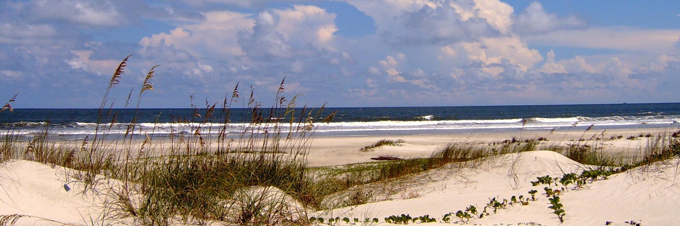 Bờ biển quốc gia đảo Cumberland (Cumberland Island National Seashore)