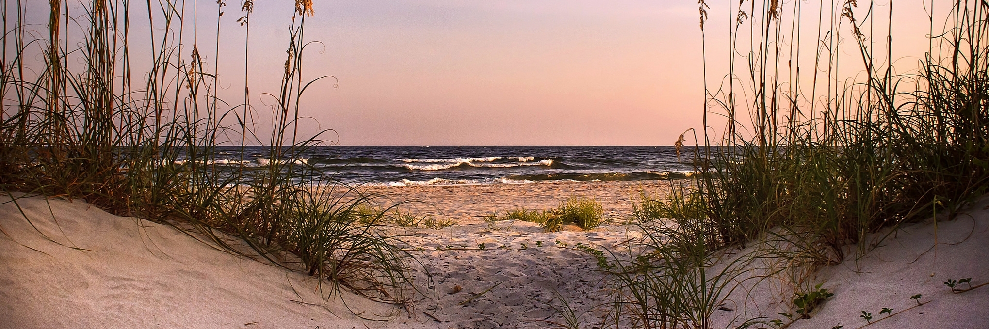 Hòn Đảo Nhỏ Tybee (Little Tybee Island)
