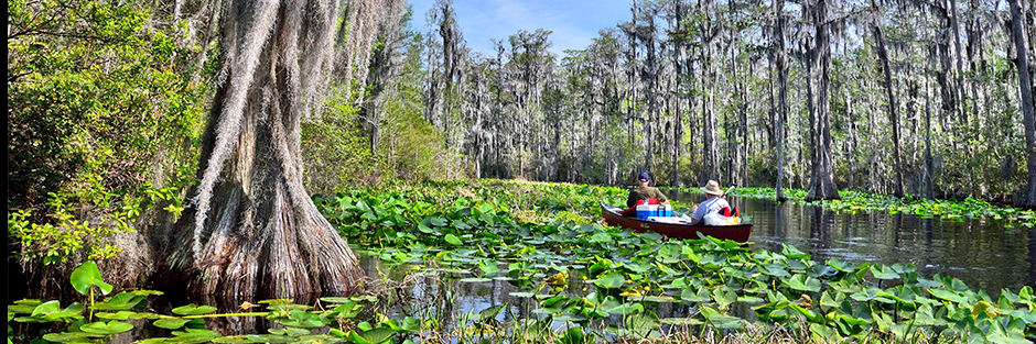 Khu bảo tồn động vật hoang dã quốc gia Okefenokee(Okefenokee National Wildlife Refuge )
