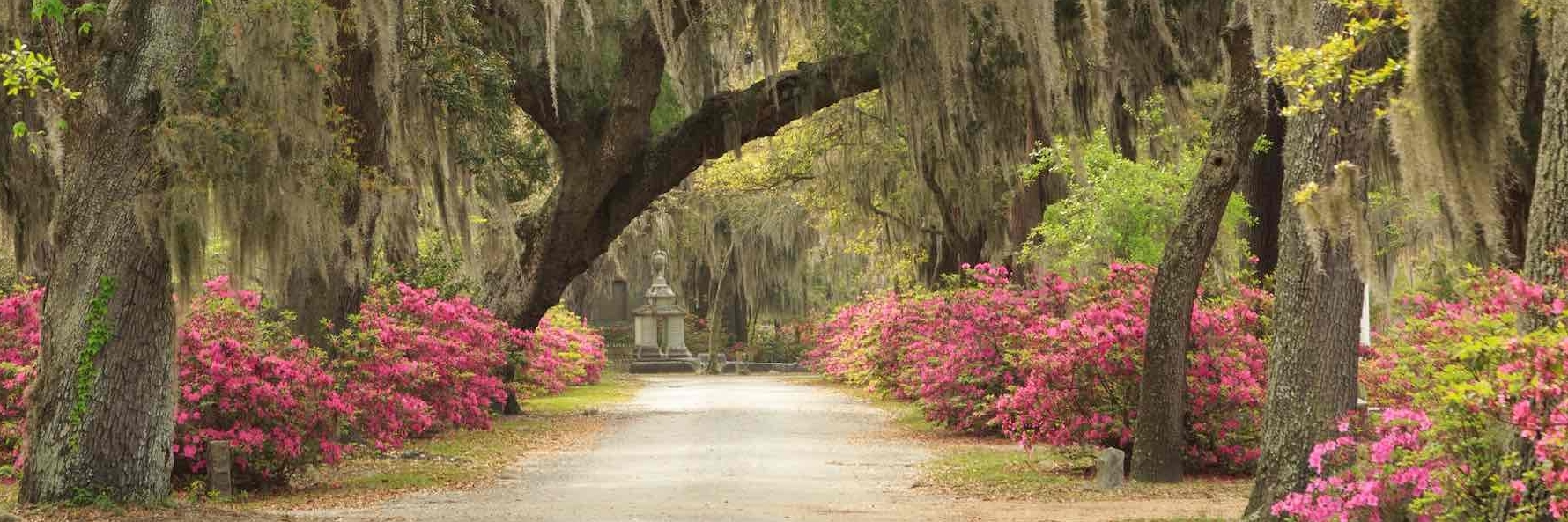 Nghĩa trang Bonavoji (Bonaventure Cemetery)