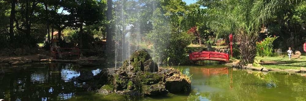 Vườn Nhật Bản (Japanese Gardens)