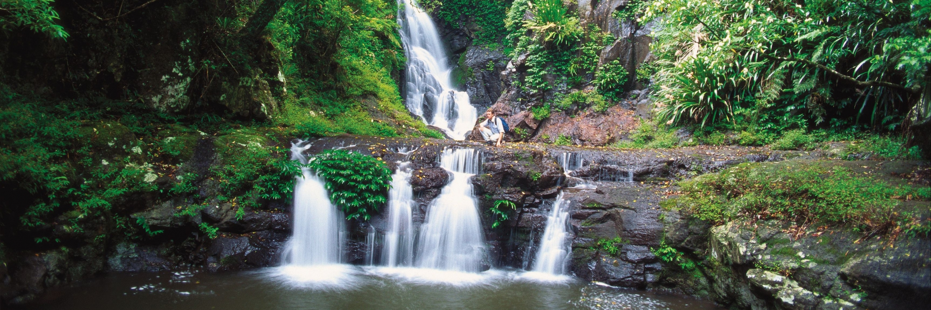 Công viên quốc gia Lamington (Lamington National Park)