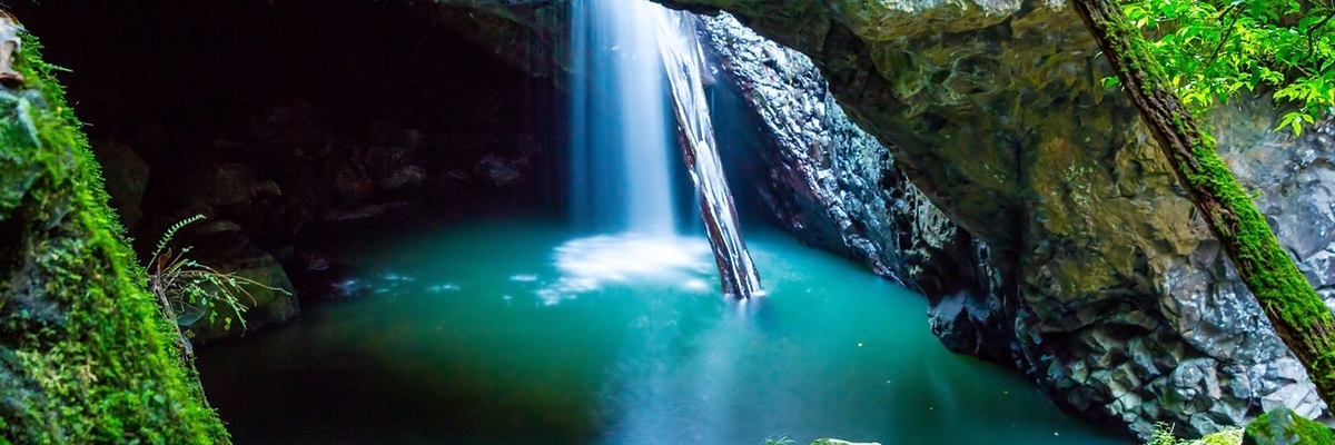 Công Viên Quốc Gia Spring Creek ( Springbrook )