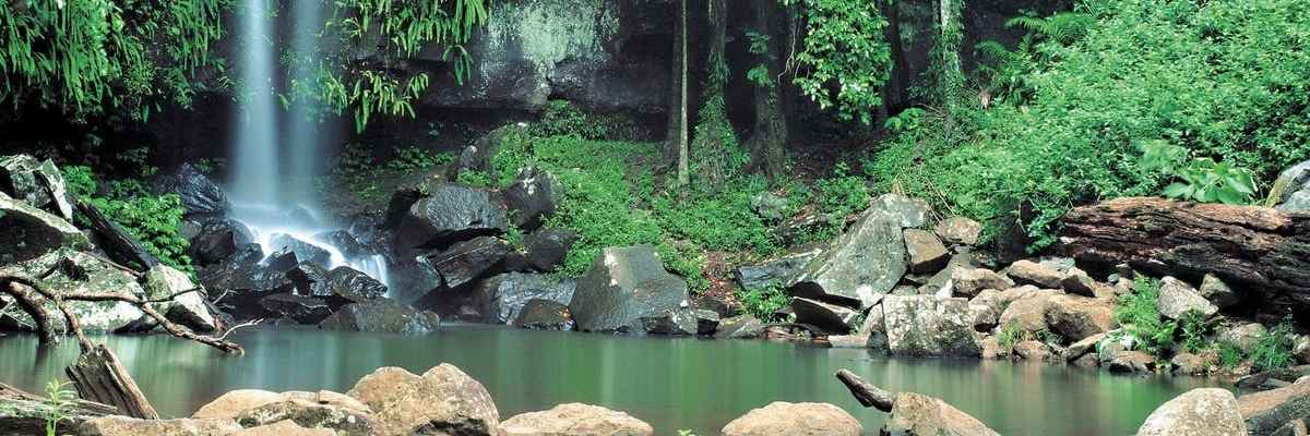 Công viên quốc gia Tamborine (Tamborine National Park)