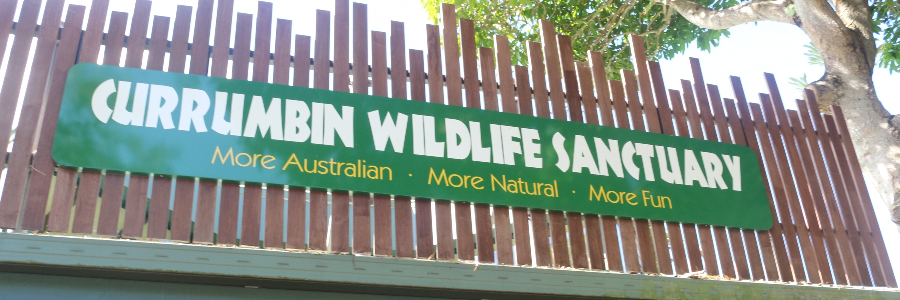 Khu Bảo Tồn Kelanbin ( Currumbin Wildlife Sanctuary )