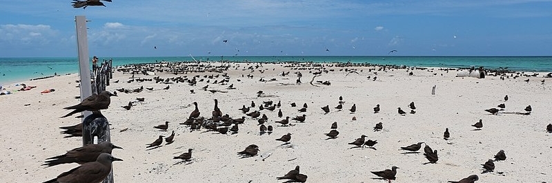 Michaelmas and Upolu Cays National Park