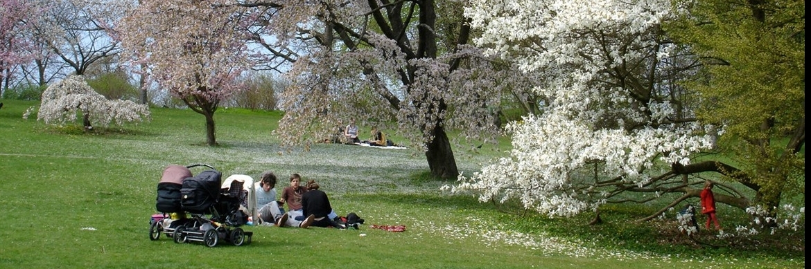 Vườn bách thảo Gothenburg (Botaniska Tradgarden)