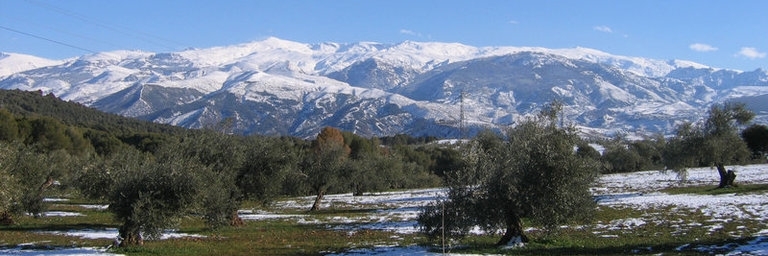 Vườn quốc gia Sierra Nevada (Sierra Nevada National Park)