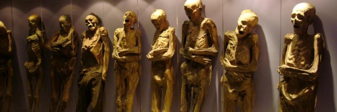 Bảo tàng xác ướp Momias (Museo de las Momias)