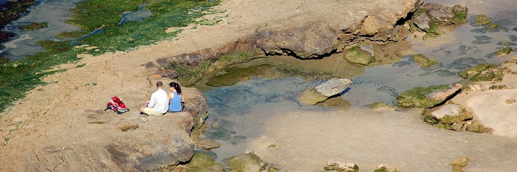 Khu bảo tồn Bitsat Zeita (Bitsat Zeita Reserve)