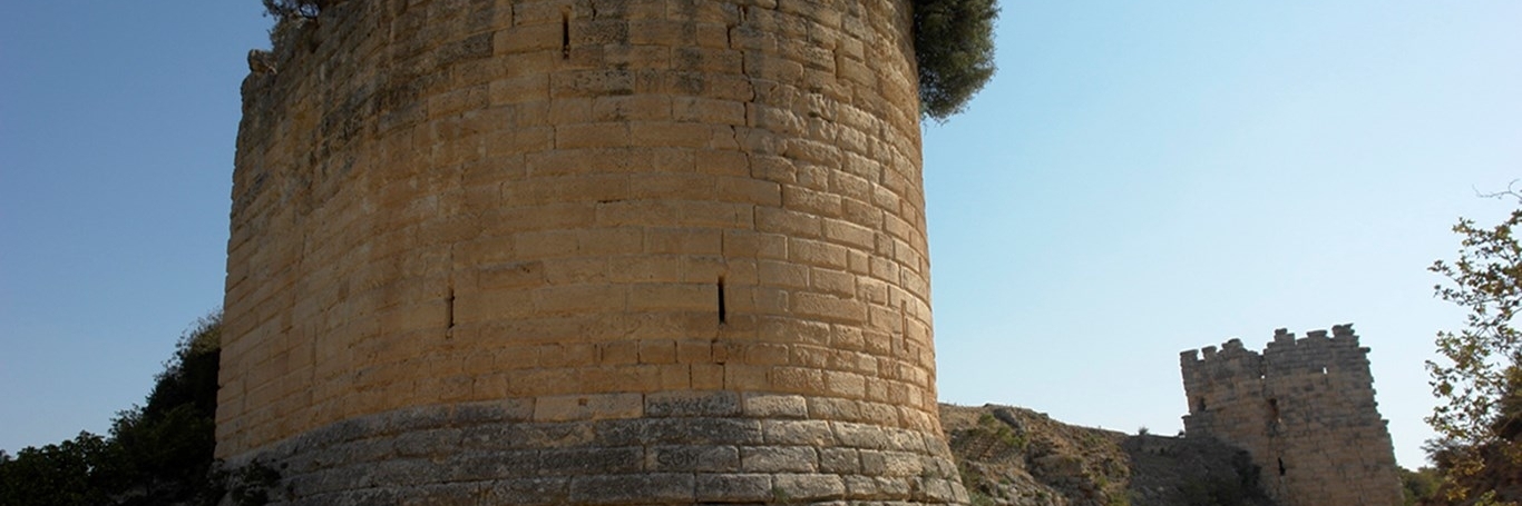 Lâu đài Koz (Koz Castle)