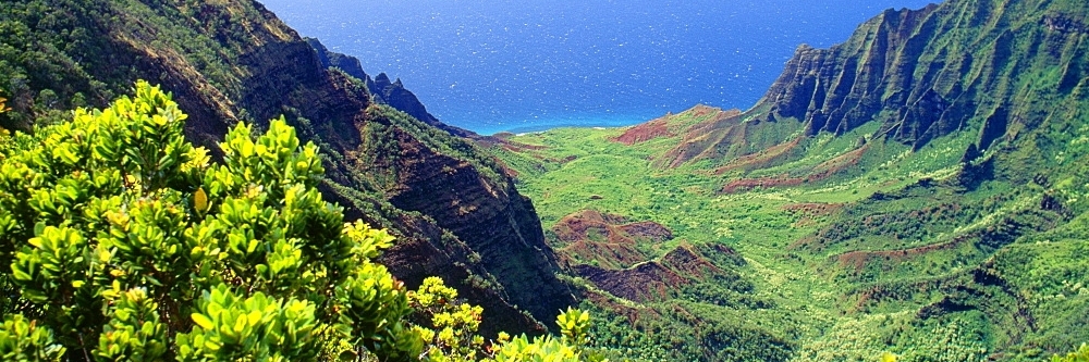 Công viên tiểu bang Kokee (Kokee State Park)