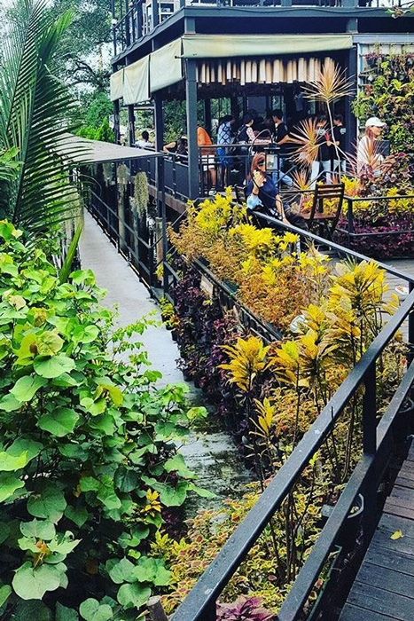 Xuất hiện "resort lơ lửng trên cây" đang gây sốt giới trẻ Bangkok