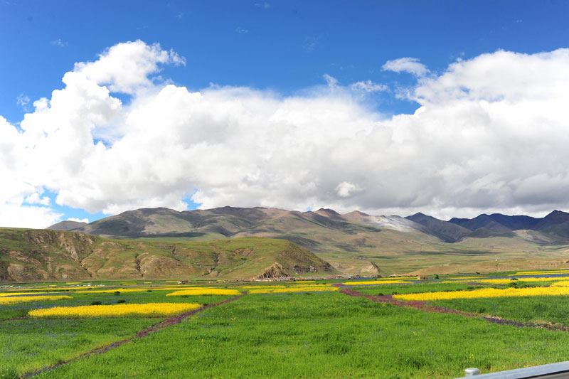 8 Bí kíp nhất định phải "lượm" cho chuyến du lịch Tây Tạng
