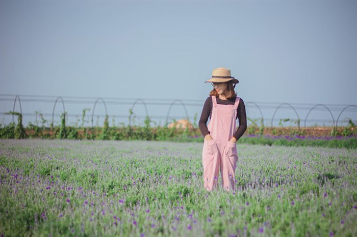 cánh đồng lavender đà lạt
