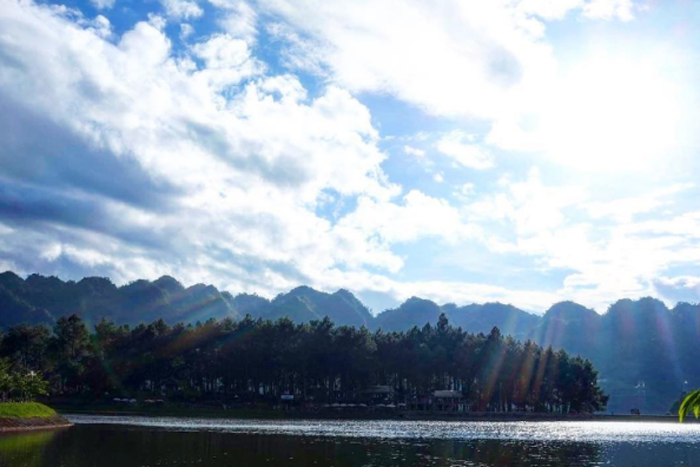 pha luong
