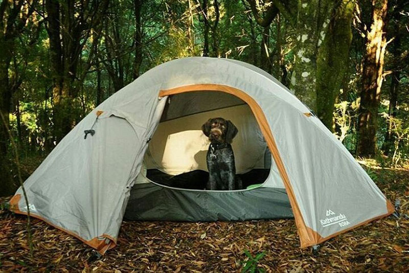 Danh sách tổng hợp địa điểm cho thuê lều cắm trại tại 3 miền Bắc, Trung, Nam