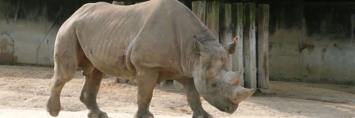 Công viên động vật học Asa thuộc thành phố Hiroshima (Hiroshima City Asa Zoological Park)