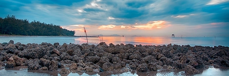 Huyện Cần Giờ