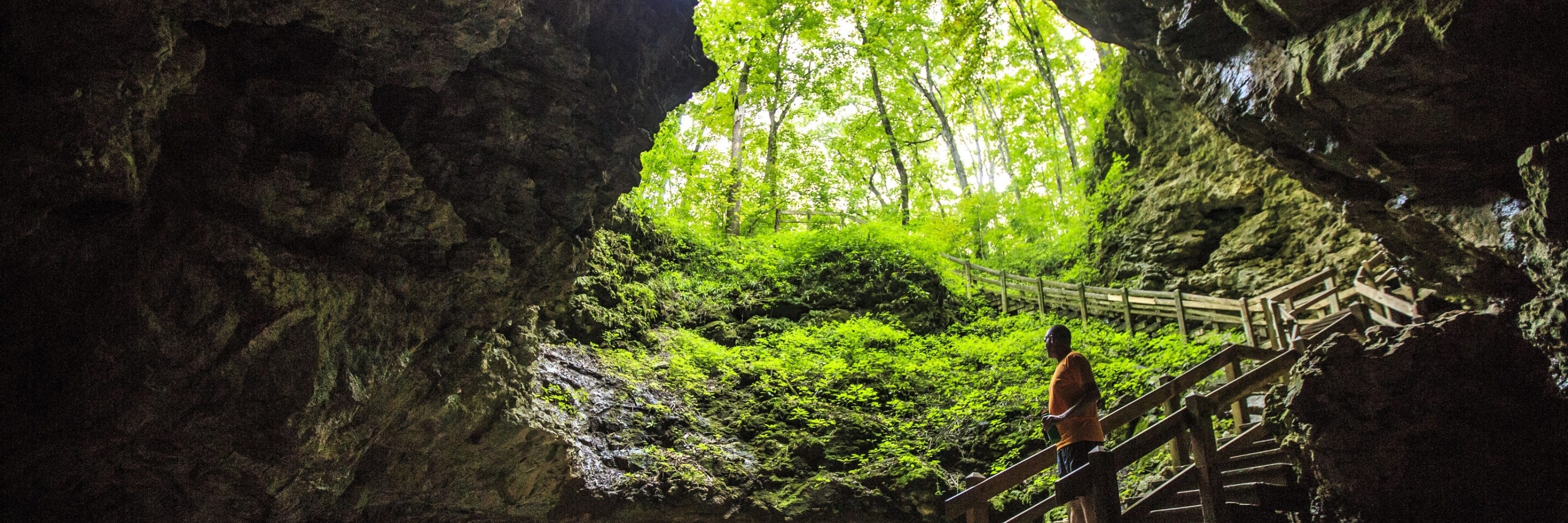 Công viên hang động Maquoketa (Maquoketa Caves State Park)