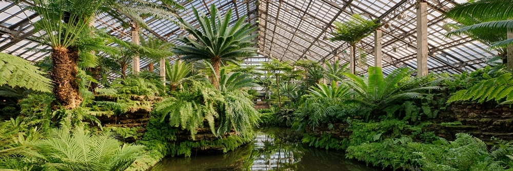 Vườn bách thảo Greater Des Moines (Greater Des Moines Botanical Garden)
