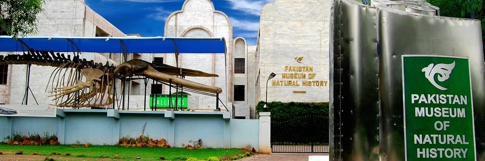 Bảo tàng Lịch sử Tự nhiên Pakistan (Pakistan Museum of Natural History)