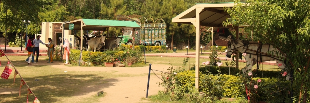 Sở thú Islamabad (Islamabad Zoo)