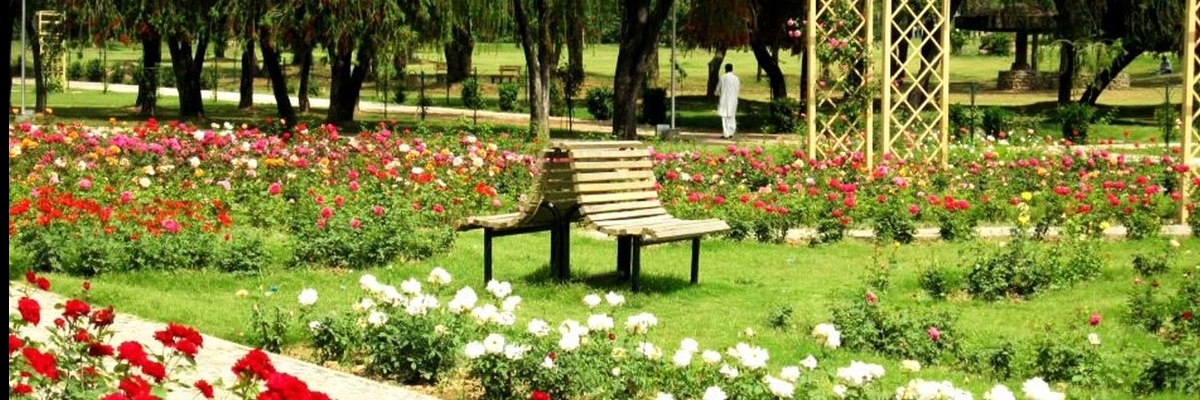 Vườn Hoa hồng và Hoa lài (Rose and Jasmine Garden)