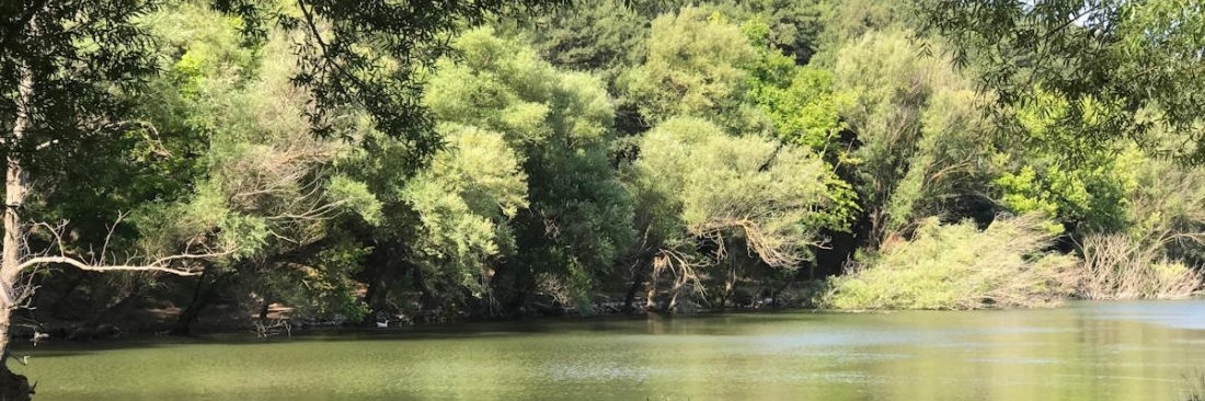 Công viên tự nhiên Karagol (Karagol Tabiat Parki)