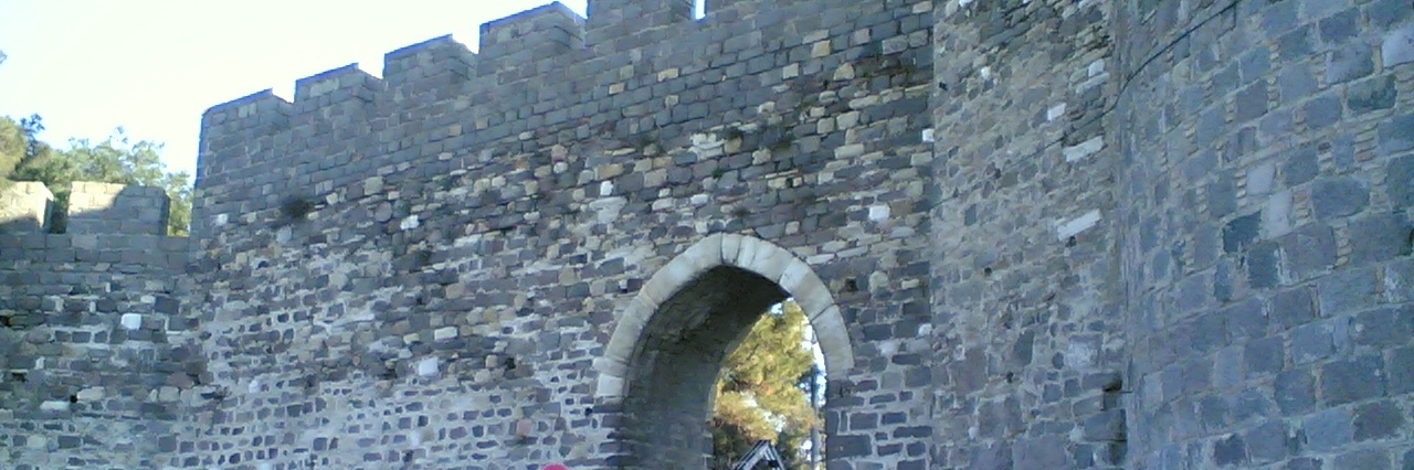 Pháo đài Kadifekale (Kadifekale)