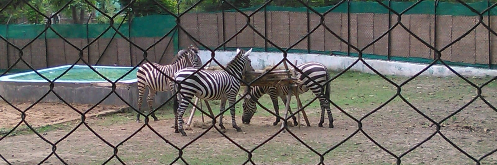 Công viên động vật học Tata Steel (Tata Steel Zoological Park)