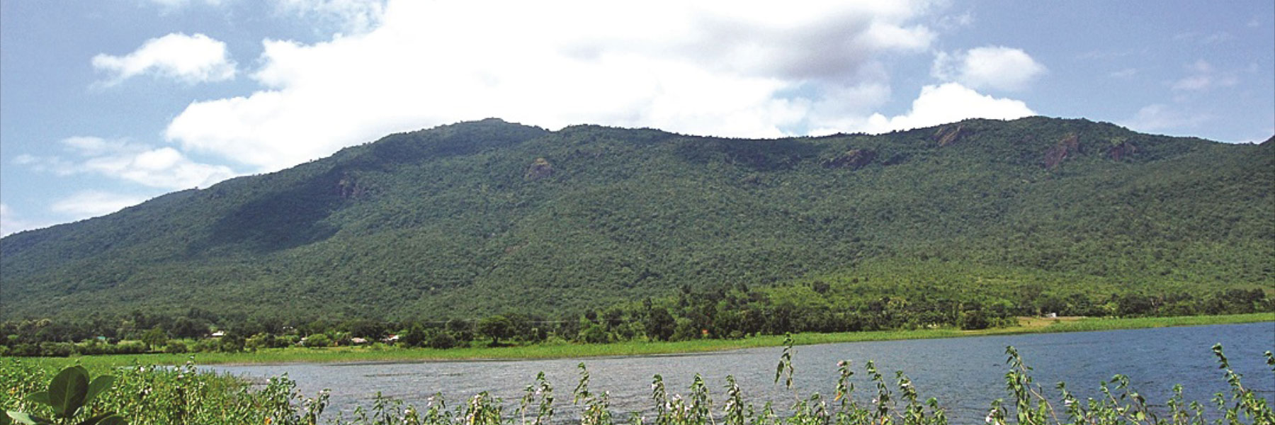 Đồi Dalma (Dalma Hill)