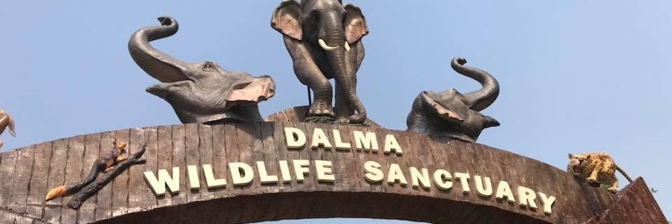 Khu bảo tồn động vật hoang dã Dalma (Dalma Wildlife Sanctuary)
