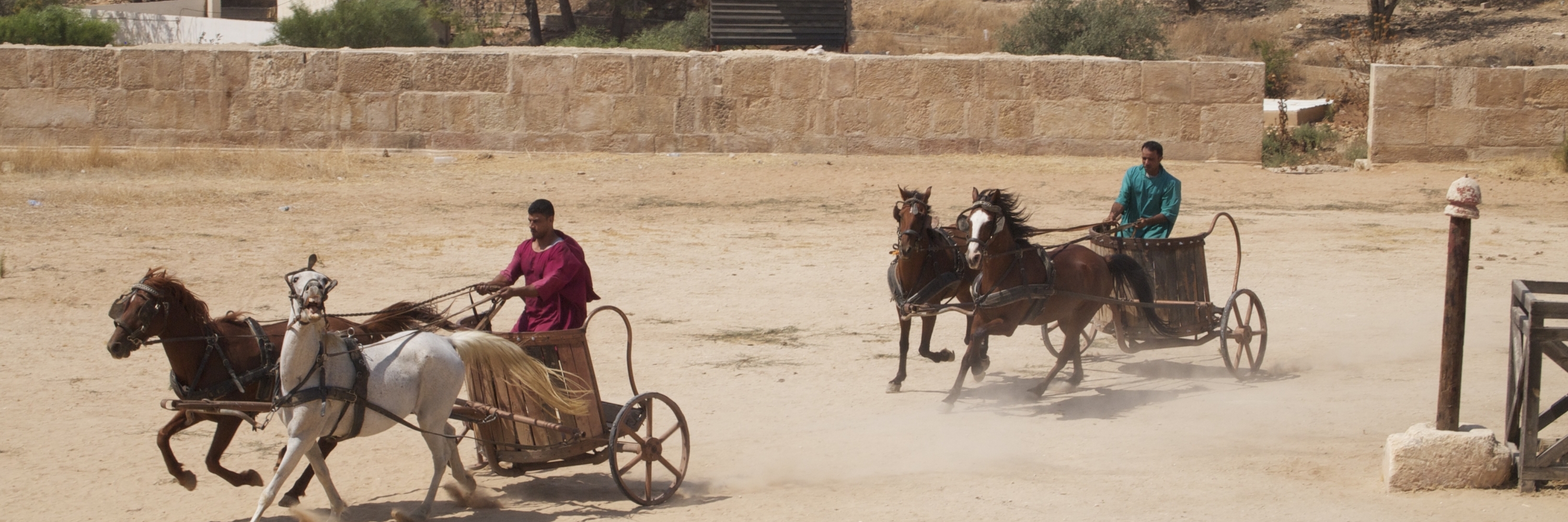 Trải nghiệm quân đội La Mã và xe ngựa (The Roman Army and Chariot Experience)
