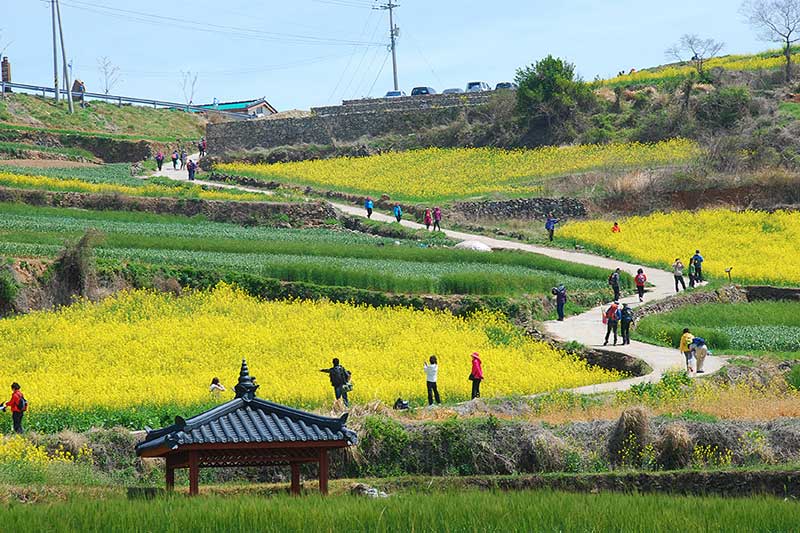 Để khám phá quanh hòn đảo, bạn có thể đi bộ hoặc thuê xe đạp dạo quanh đảo trên những con đường mòn trải dài như vô tận