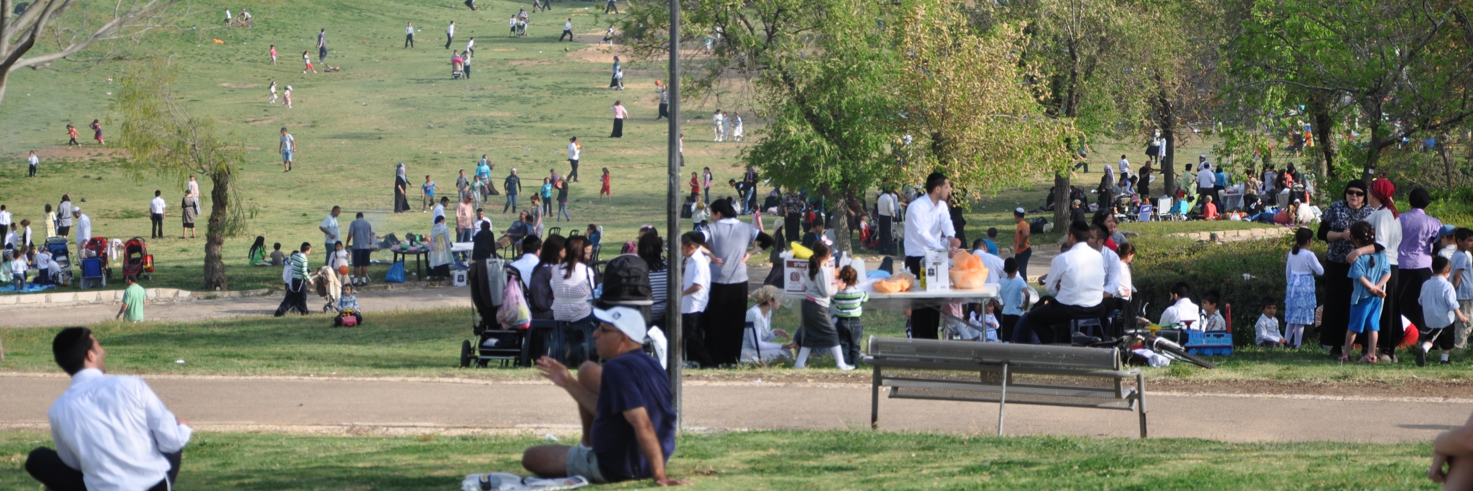 Công viên Sacher (Sacher Park)
