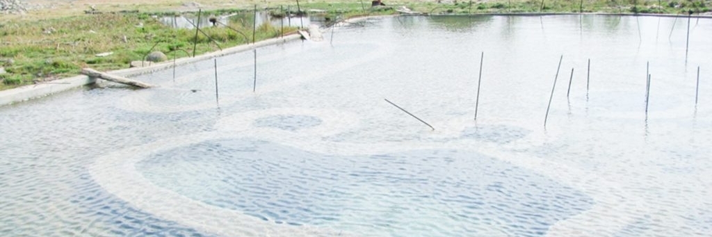 Suối Nước Nóng Te Teuk Pus (Te Teuk Pus Hot Spring)