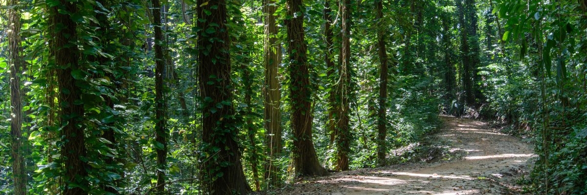 Khu bảo tồn tự nhiên Udawatta Kele (Udawatta Kele Sanctuary)