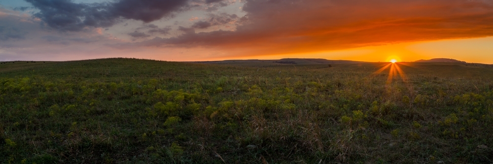 Khu bảo tồn quốc gia Tallgrass Prairie (Tallgrass Prairie National Preserve)
