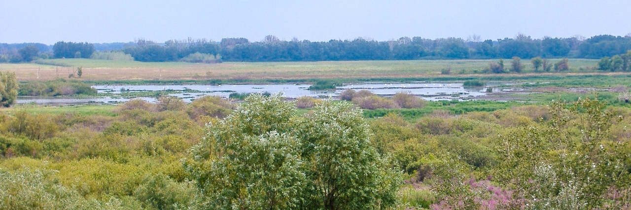 Công viên Quốc gia Kiskunság (Kiskunság National Park)