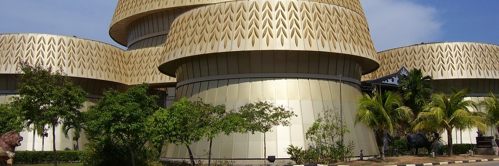 Bảo tàng Paddy (Paddy Museum (Rice Museum))