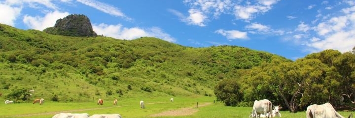 Nông trại Kenting