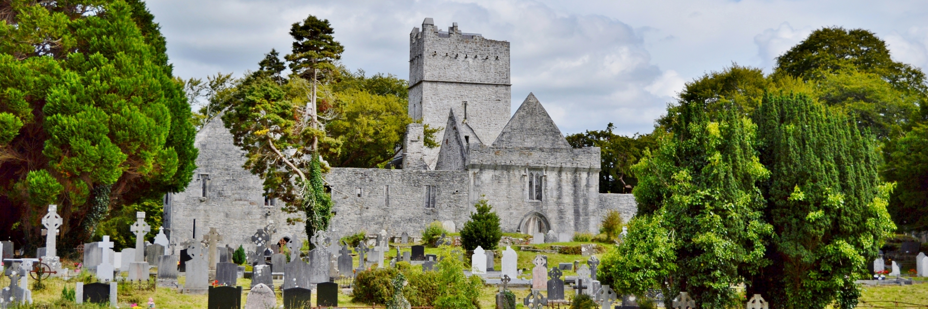 Tu viện Muckross (Muckross Abbey)