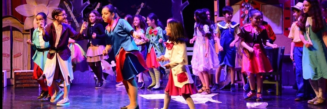 Nhà hát khu vực (Bolge Tiyatrosu)