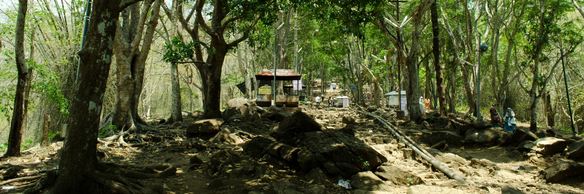 Khu vực Malayattoor (Malayattoor)