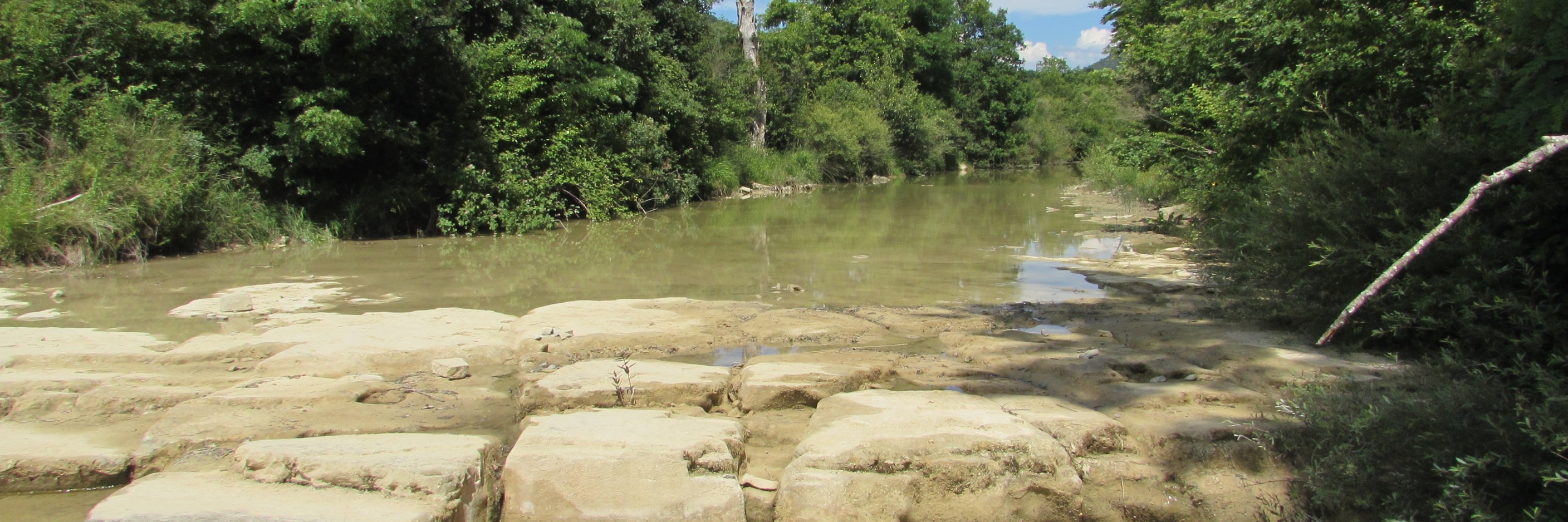 Sông Dragonja (Dragonja River)