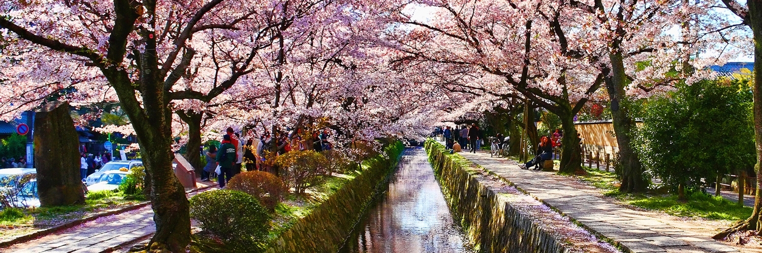 Con đường Triết gia (Philosophers Walk)