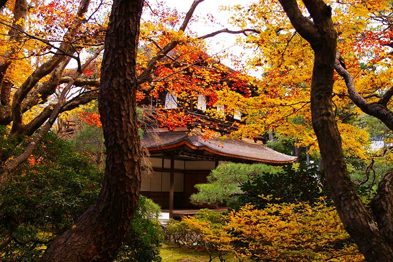 Đền Ginkaku Ji