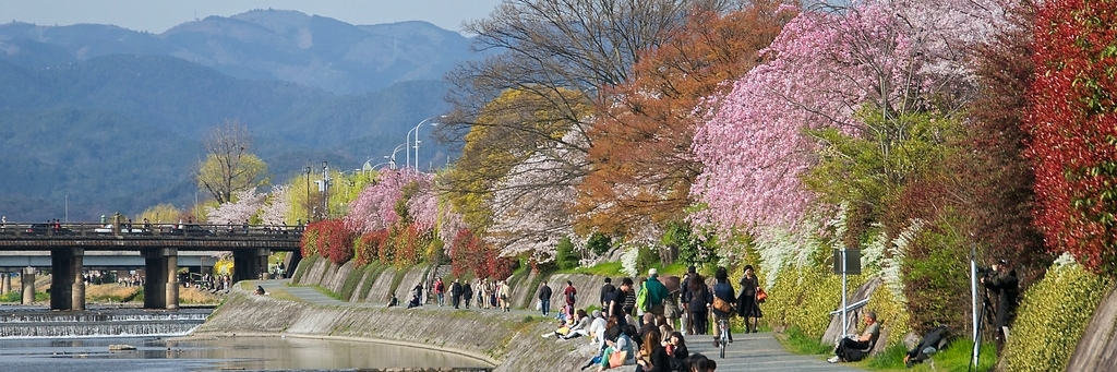 Sông Kamogawa (Kamogawa)