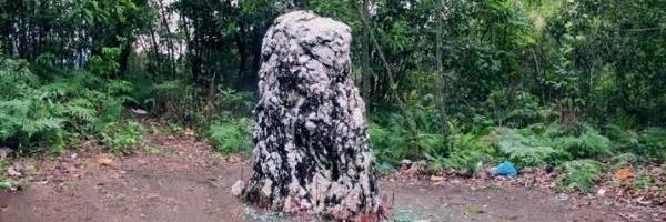 Đá thiêng Hà Nhì (Hà Nhì Sacred Stone)